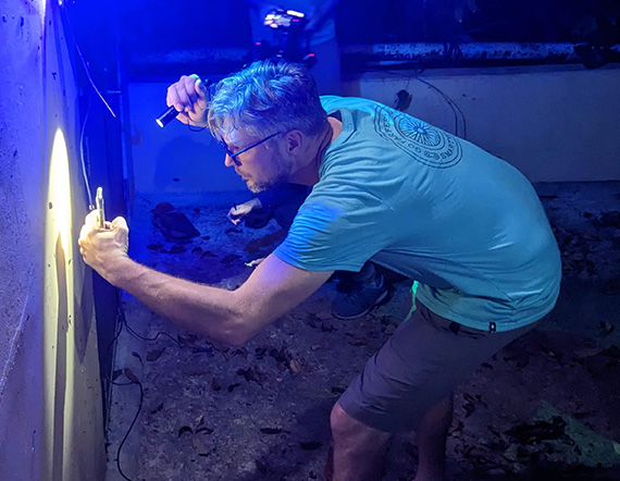 Dr Chris Schmidt, Entomologist, Canadian National Collection of Insects