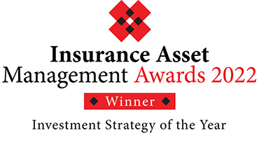 INSURANCE_Investment strategy of the year 2022