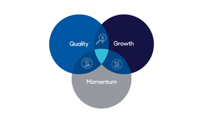 quality growth momentum chart