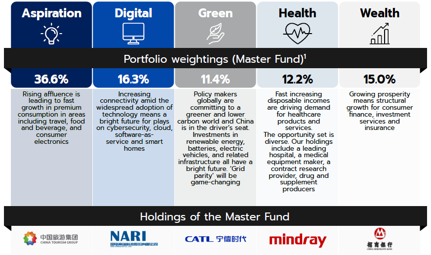 Key investment themes